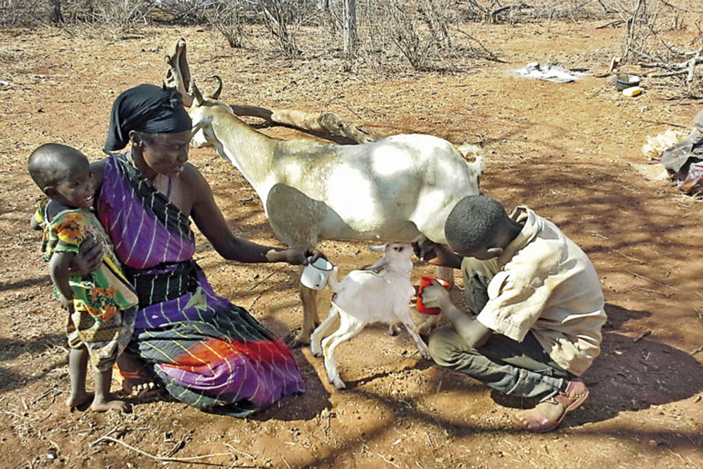 20140908_153355-3-768x512