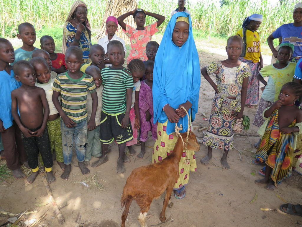 IMG_4739-FILEminimizer