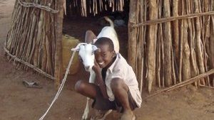 Kenya-Goat_Project_01_small Kenya-Goat_Project_01_small