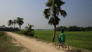 Untitleddesign-10 Untitleddesign-10