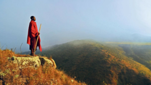 Untitleddesign-3 Untitleddesign-3