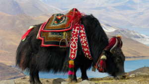 Untitleddesign-9 Untitleddesign-9